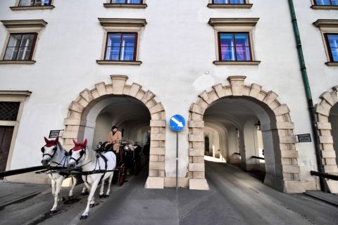 Horse-Drawn Carriage, Hofburg, Vienna – Vienna, Austria