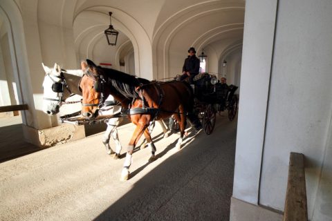 Horse-Drawn Carriage, Hofburg, Vienna – Vienna, Austria