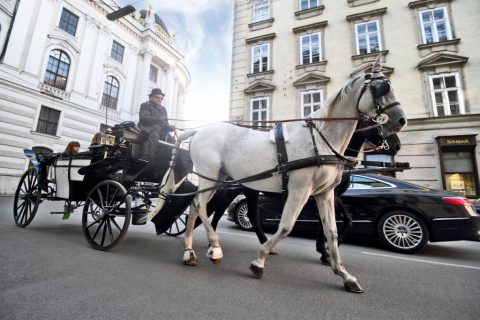 Horse-Drawn Carriage, Hofburg, Vienna – Vienna, Austria