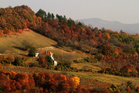 Zádor-hegy – Barnag, Hungary