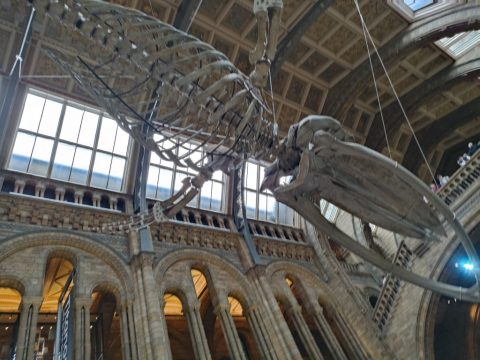 London – London, United Kingdom