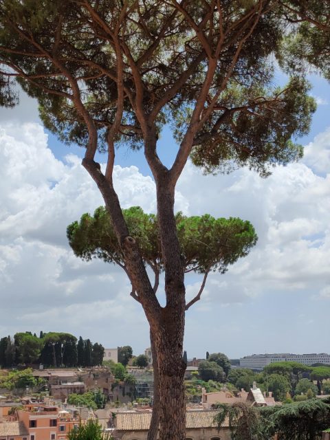 Rome – Rome, Italy