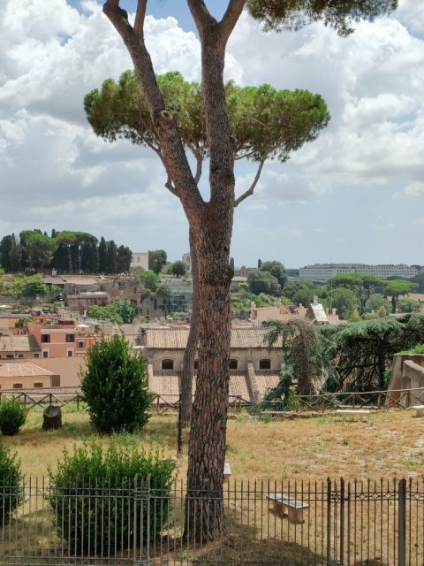 Rome – Rome, Italy