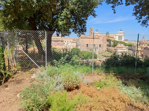 Rome – Rome, Italy