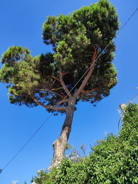 Rome – Rome, Italy