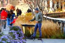 Dulcimer in Highline