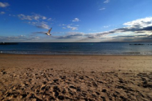 Atlantic Ocean view from Coney Island, Brooklyn