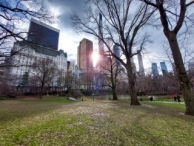 The Pond, Central Park