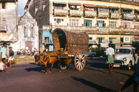 Gas Paha Junction with a Bulllock cart, front of St. Paul's Oratory - Colombo, 1979 – Colombo, Sri Lanka