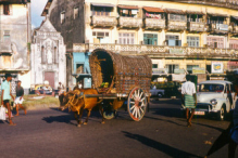 Gas Paha Junction with a Bulllock cart, front of St. Paul's Oratory - Colombo, 1979