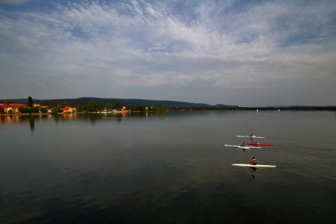 Kajakosok az Öreg-tavon – Tata, Hungary