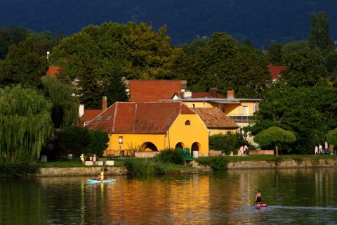 Kajakosok az Öreg-tavon – Tata, Hungary