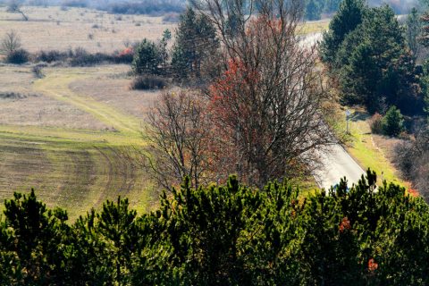 Kilátás Katonai torony-kilátóból, Nagyvázsony, 77-es út – Nagyvázsony, Hungary