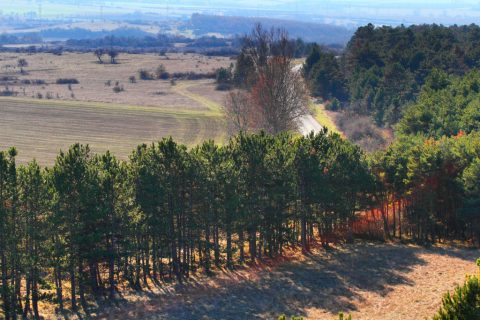 Kilátás Katonai torony-kilátóból, Nagyvázsony, 77-es út – Nagyvázsony, Hungary