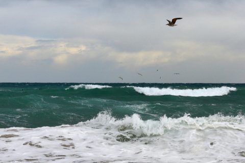 Mediterranean Sea, Platja de Sant Sebastià, Barcelona – Barcelona, Spain