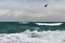 Mediterranean Sea, Platja de Sant Sebastià, Barcelona