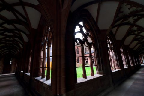 Niklauskapelle - Basler Münster – Basel, Switzerland