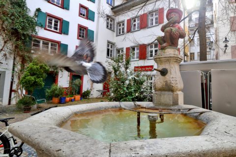 Andreasplatz - Monkey Fountain (Affenbrunnen) – Basel, Switzerland