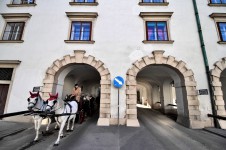 Horse-Drawn Carriage, Hofburg, Vienna