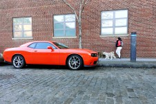 Dodge Challenger, Brooklyn