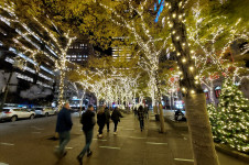 Zuccotti park with Christmas lights