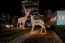 Christmas Reindeer lights at Liberty Park, WTC