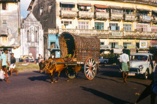 Gas Paha Junction with a Bulllock cart, front of St. Paul's Oratory - Colombo, 1979