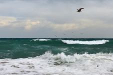 Mediterranean Sea, Platja de Sant Sebastià, Barcelona