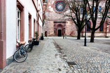 Basler Münster
