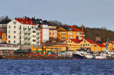 Bläckfisken - The octopus (Gröna Lund)
