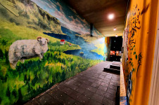 Reykjavík street art